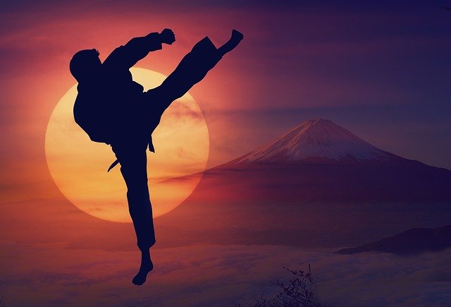 karate world champion ricardo teixeira