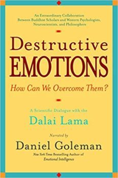 Destructive Emotions - Dalai Lama and Daniel Goleman